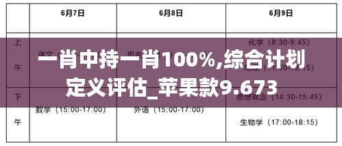 一肖中持一肖100%,综合计划定义评估_苹果款9.673