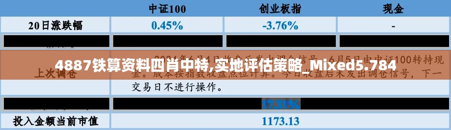 4887铁算资料四肖中特,实地评估策略_Mixed5.784