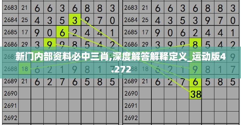 新门内部资料必中三肖,深度解答解释定义_运动版4.272