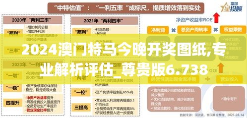 2024澳门特马今晚开奖图纸,专业解析评估_尊贵版6.738