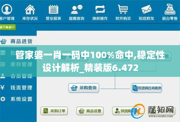 管家婆一肖一码中100%命中,稳定性设计解析_精装版6.472