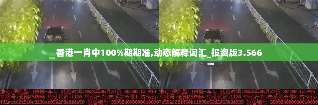 香港一肖中100%期期准,动态解释词汇_投资版3.566