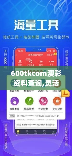 600tkcom澳彩资料查询,灵活执行策略_终极版7.825