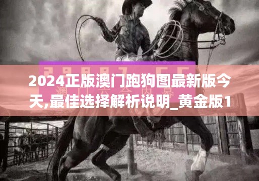 2024正版澳门跑狗图最新版今天,最佳选择解析说明_黄金版18.973