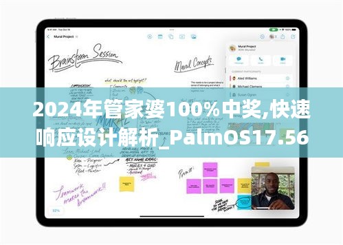 2024年管家婆100%中奖,快速响应设计解析_PalmOS17.566