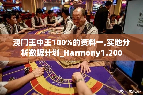 澳门王中王100%的资料一,实地分析数据计划_Harmony1.200