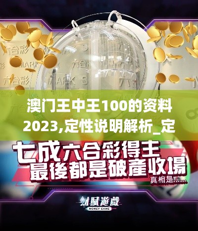 澳门王中王100的资料2023,定性说明解析_定制版2.790