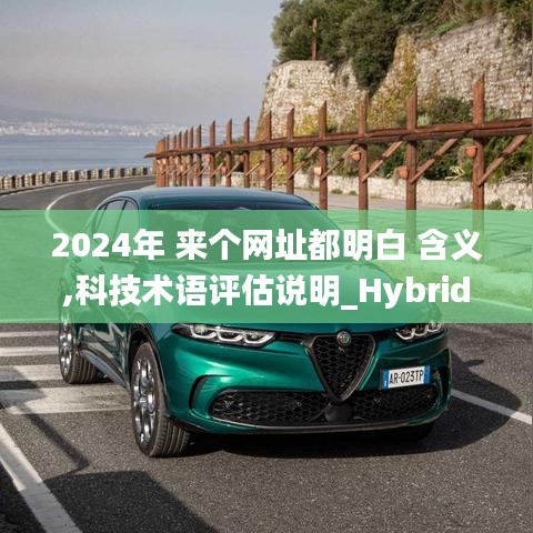 2024年 来个网址都明白 含义,科技术语评估说明_Hybrid3.207