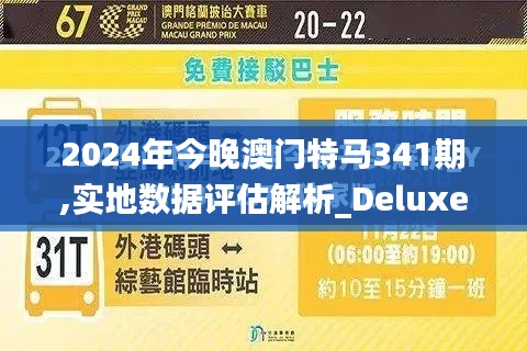 2024年今晚澳门特马341期,实地数据评估解析_Deluxe7.259