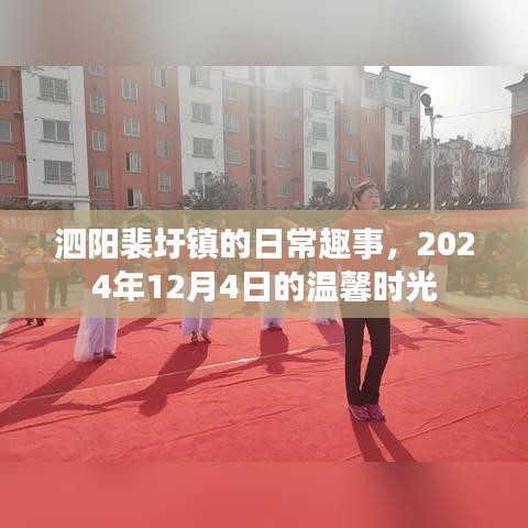 泗阳裴圩镇，温馨日常趣事，2024年冬日时光