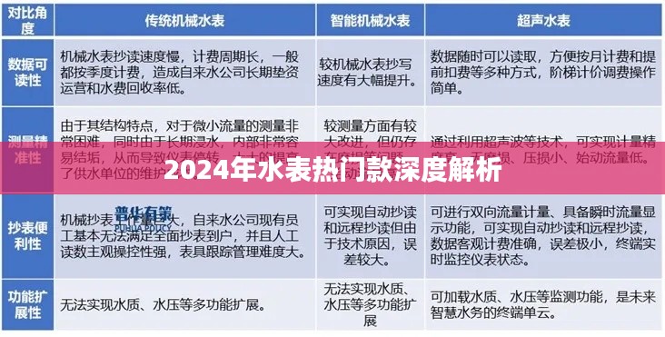 2024年热门水表款式深度解析