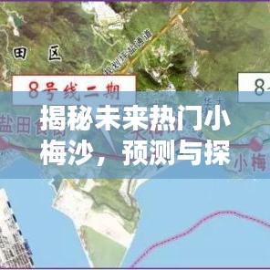 揭秘小梅沙未来魅力，2024年展望与预测