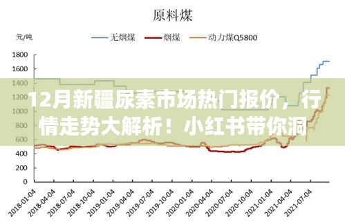 12月新疆尿素市场热门报价揭秘与行情走势深度解析，小红书最新动态一览