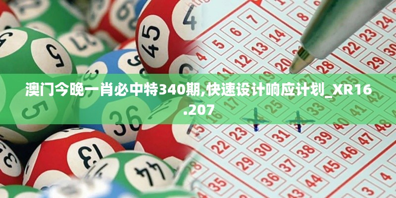 澳门今晚一肖必中特340期,快速设计响应计划_XR16.207