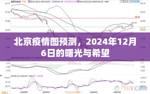 北京疫情预测图，曙光与希望于2024年12月6日显现