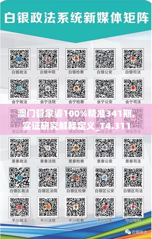 澳门管家婆100%精准341期,实证研究解释定义_T4.311