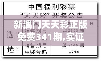 新澳门天天彩正版免费341期,实证研究解释定义_高级版10.749