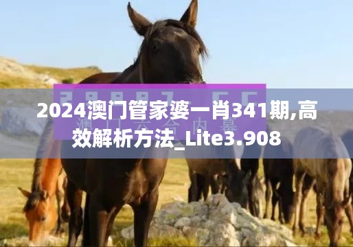 2024澳门管家婆一肖341期,高效解析方法_Lite3.908