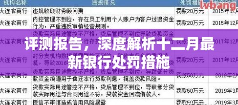 深度评测报告，十二月银行处罚措施全面解析