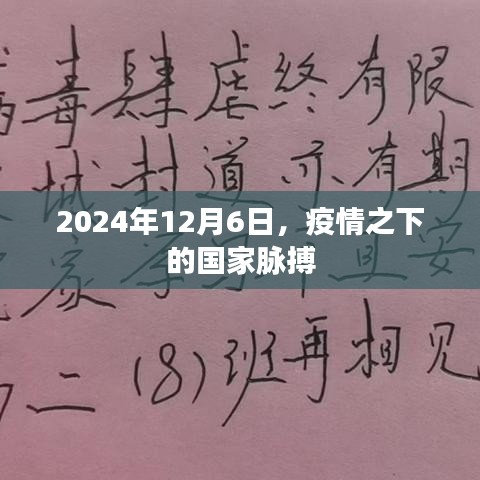 疫情之下，国家脉搏跳动不息——2024年12月6日观察