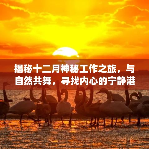 揭秘十二月神秘工作之旅，与自然共舞，探寻内心宁静港湾