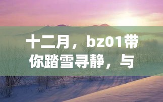 十二月奇迹之旅，bz01踏雪寻静，共舞冬日自然美景