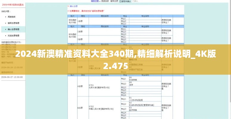 2024新澳精准资料大全340期,精细解析说明_4K版2.475