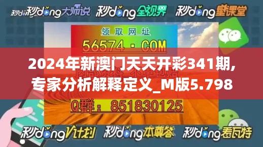 2024年新澳门天天开彩341期,专家分析解释定义_M版5.798