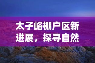 2024年12月7日 第10页