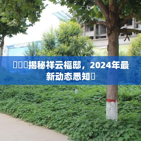 揭秘祥云福邸，2024年最新动态揭晓