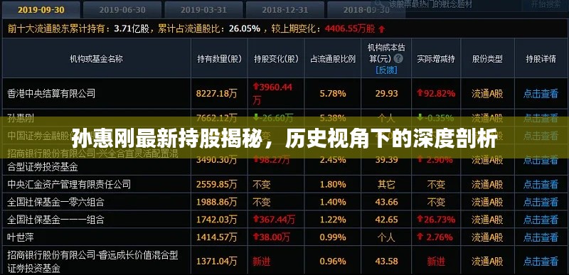 孙惠刚最新持股深度解析，历史视角的透视