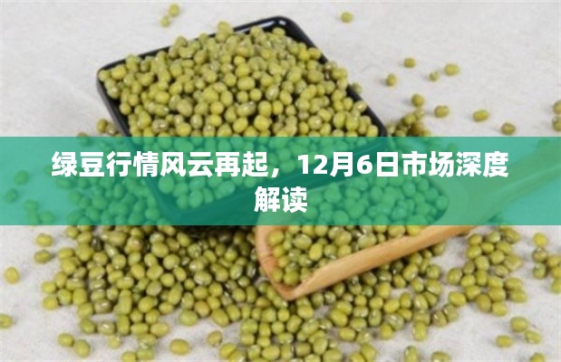 绿豆市场风云再起，深度解读市场趋势与行情展望（12月6日）