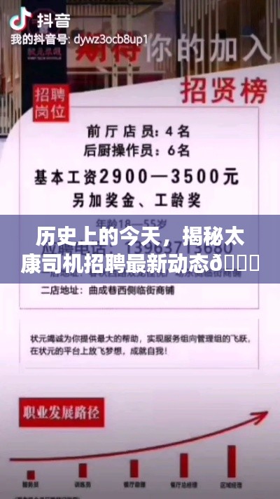 揭秘太康司机招聘最新动态，历史今日热点聚焦，小红书热议话题🚚🌟