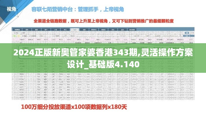 2024正版新奥管家婆香港343期,灵活操作方案设计_基础版4.140