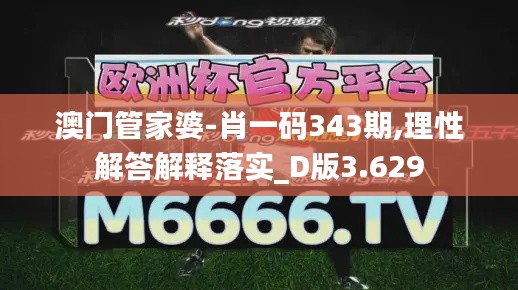 澳门管家婆-肖一码343期,理性解答解释落实_D版3.629