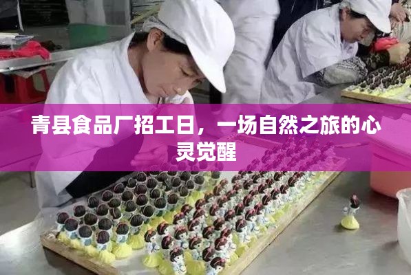 青县食品厂招工日的心灵觉醒之旅