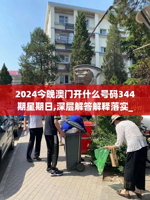 2024今晚澳门开什么号码344期星期日,深层解答解释落实_限量版9.292