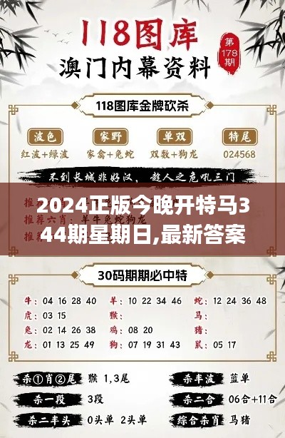 2024正版今晚开特马344期星期日,最新答案解释落实_模拟版110.308