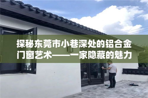 探秘东莞市小巷深处的铝合金门窗艺术魅力小店