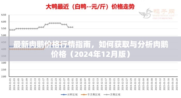 最新肉鹅价格行情指南，如何获取与分析肉鹅价格（2024年12月版）