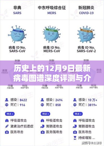 2024年12月10日 第31页