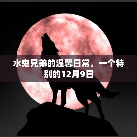 水鬼兄弟的温馨日常，特别的12月9日纪事