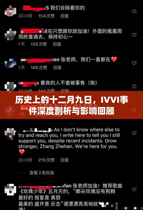 IVVI事件深度剖析与影响回顾，历史视角下的十二月九日反思