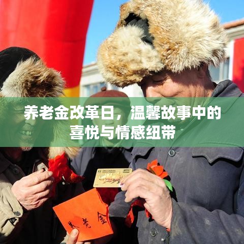 养老金改革日的喜悦与情感纽带，温馨故事集锦