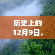 隔音门窗中的宁静与自然的馈赠，历史上的12月9日我在惠州体验心灵之旅