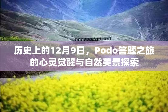 Podo答题之旅，心灵觉醒与自然美景的历史探索之旅（12月9日）