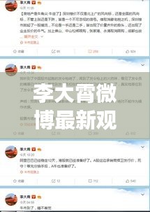 李大霄微博最新观点解析，聚焦往年12月9日的论述解读