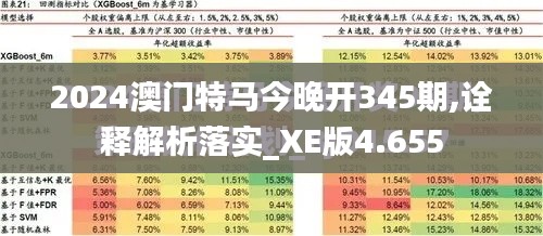 2024澳门特马今晚开345期,诠释解析落实_XE版4.655