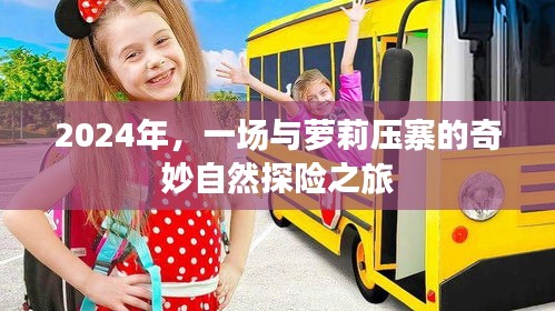 萝莉压寨，奇妙自然探险之旅