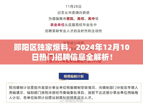 郧阳区热门招聘信息全解析，揭秘2024年招聘趋势！